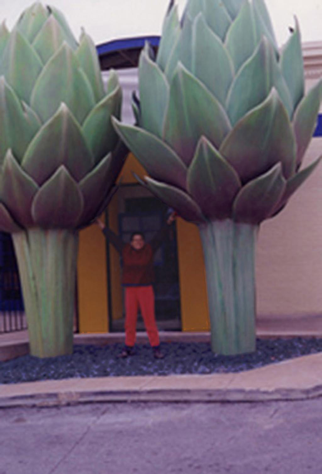 Natura Restaurant - Giant artichokes
