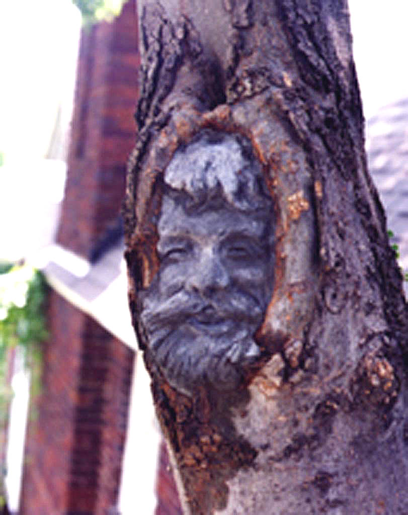 Johnston Estate - Patron Portrait (20 ft up live tree)
